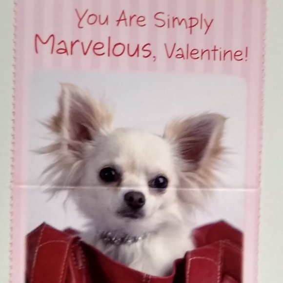Valentine's Day Cards by Rachael Hale   Crowned Kitty Collection Box - Picture 4 of 15
